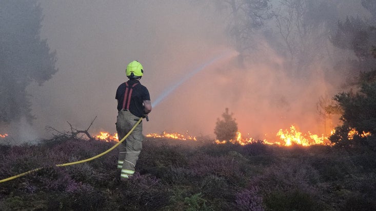 Dunwich Heath Fire July 2026